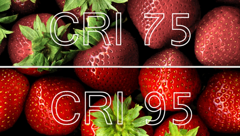 Importance of Colour Rendering Index & High CRI Light Bulbs
