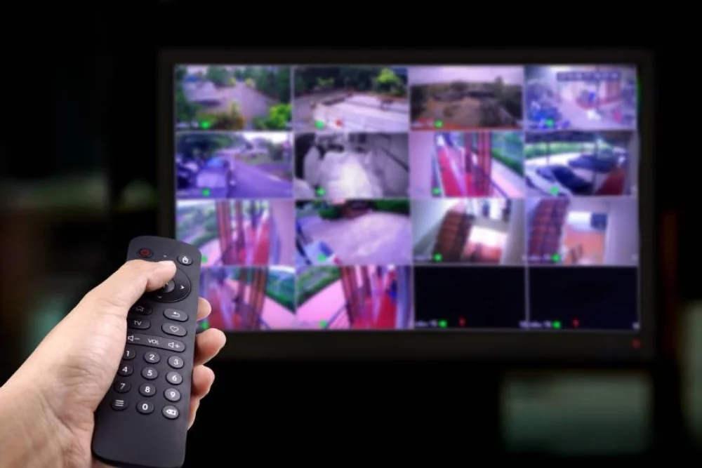 Electronic Security System